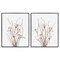 Stupell Industries Curly Branches Wildflowers 2pc Framed Giclee Set, design by Lanie Loreth